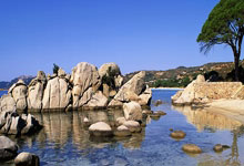 巴恩斯利主场告捷，取得联赛两连胜的简单介绍