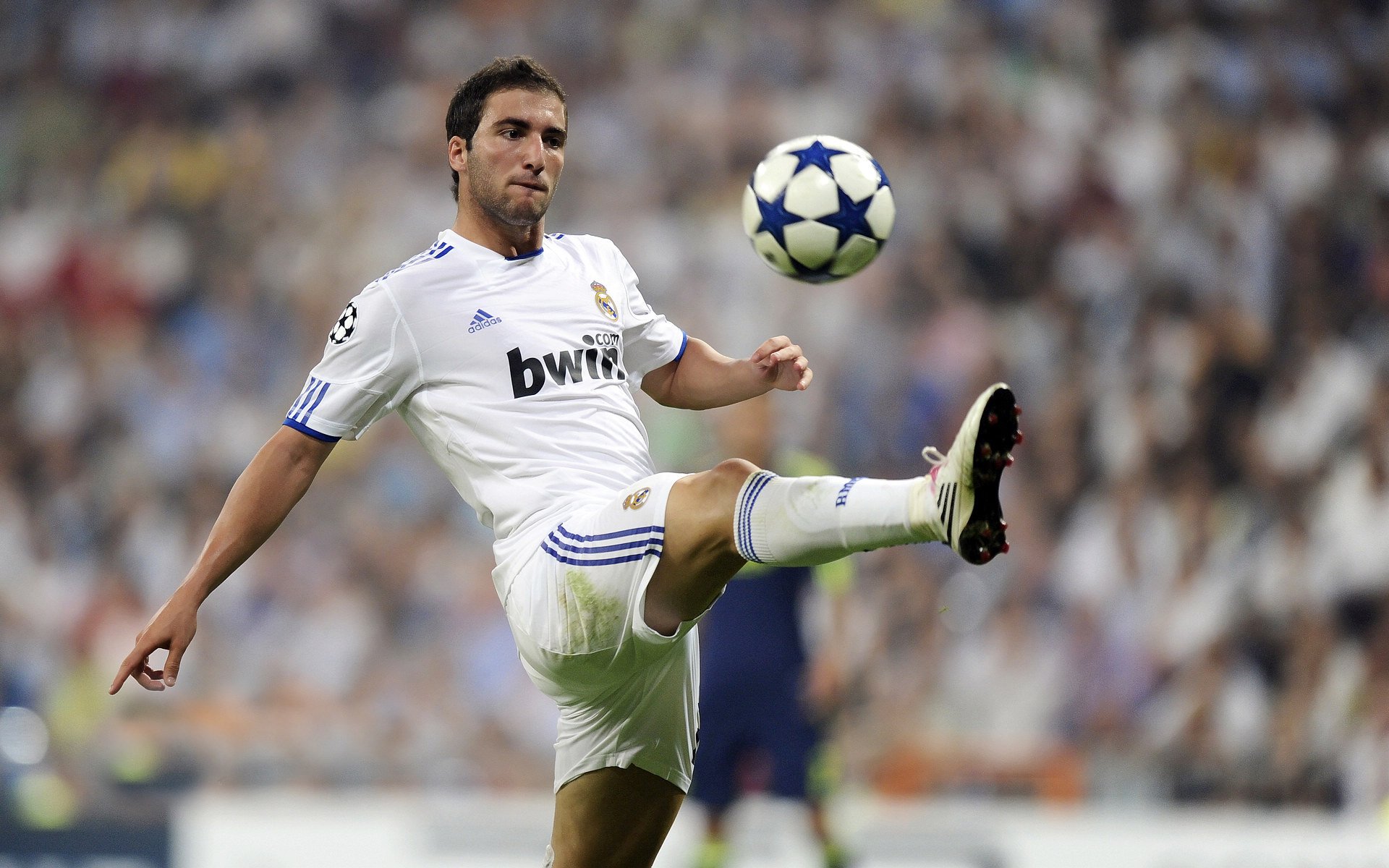 库里迎来十五赛季出色发挥，德国队观众热烈欢呼！上演精彩一战的简单介绍